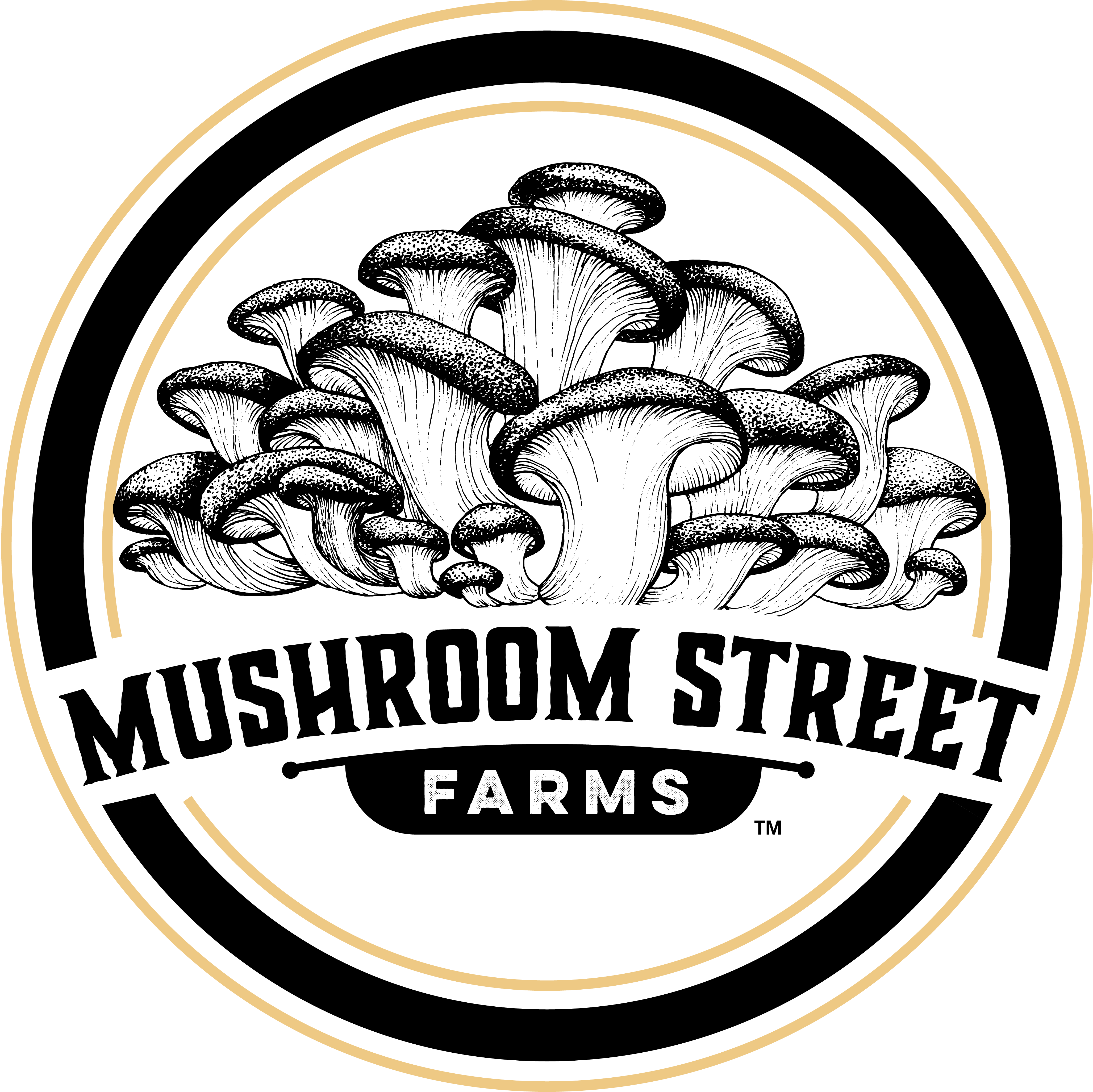 Mushroom Street Farms